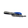 SBT - 1.25M Leash - BLACK/GOLD - Lightblue