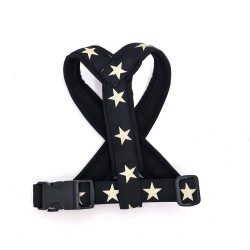 Stars - sele - SORT- str. XXSmall