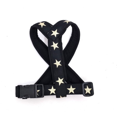 Stars - sele - SORT- str. XLarge